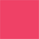 Bic https: www.cchobby.nl -visa-color-kleurstiften-lijndikte-3-mm-roze-12-stuk-1-doos
