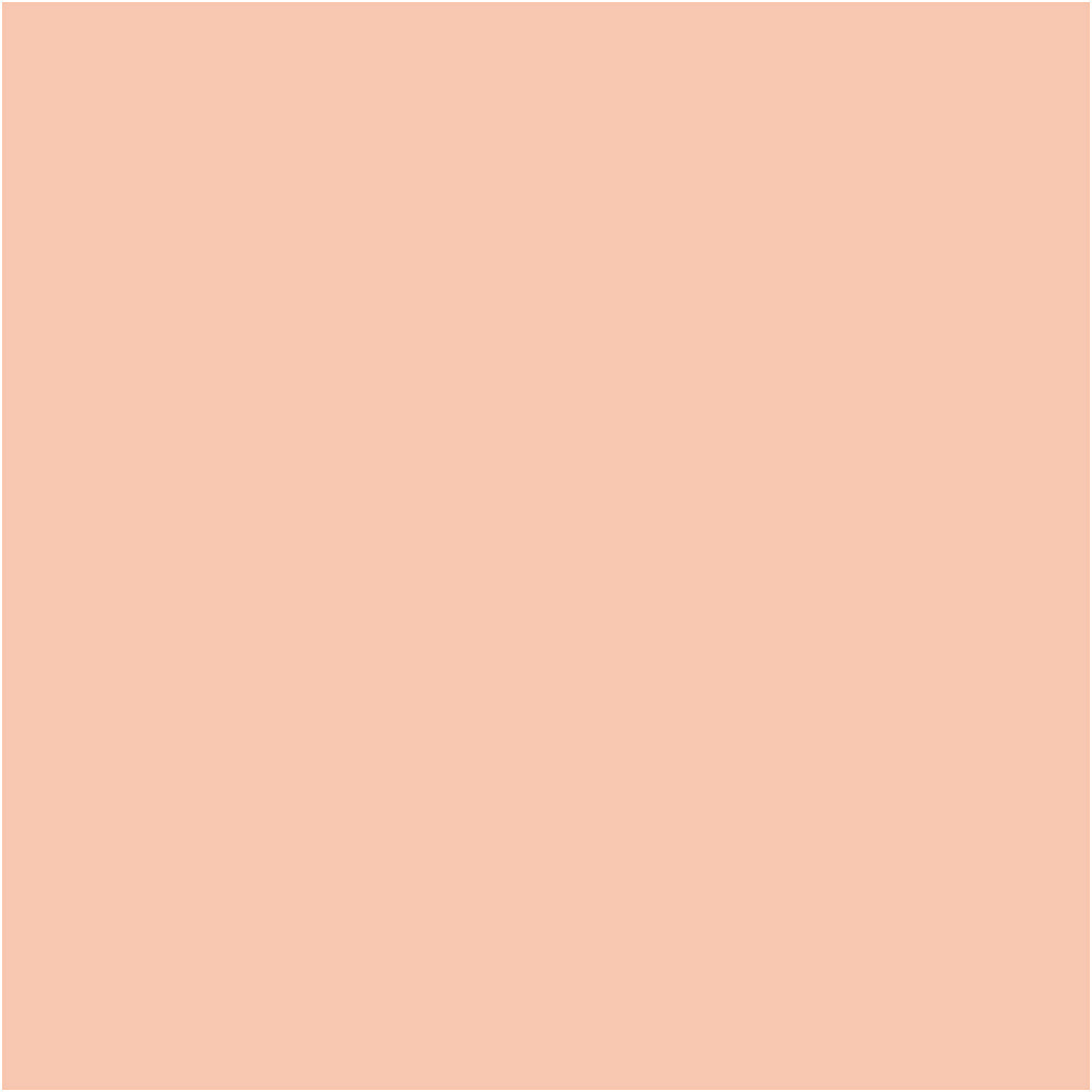 Bic https: www.cchobby.nl -visa-color-kleurstiften-lijndikte-3-mm-licht-beige-12-stuk-1-doos