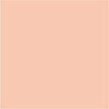 Bic https: www.cchobby.nl -visa-color-kleurstiften-lijndikte-3-mm-licht-beige-12-stuk-1-doos