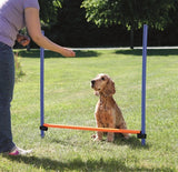 Trixie dog activity agility horde blauw oranje