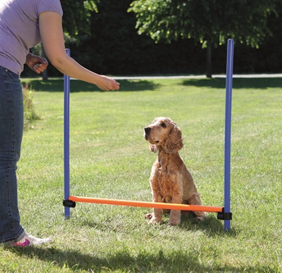 Trixie Hond Aktivitéit Agility Horde Blue Orange