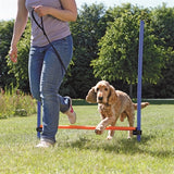 Trixie Hond Aktivitéit Agility Horde Blue Orange