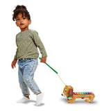 Vtech timmie teckel xylofoon