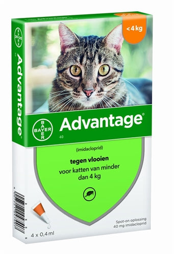 Bayer Advantage kat