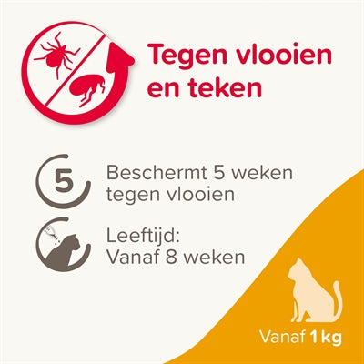 Beaphar Fiprotec kat tegen vlooien teken