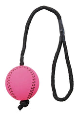 Trixie sportbal aan touw schuimrubber drijvend assorti