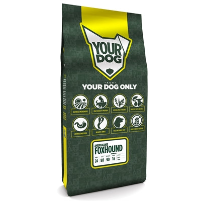 Yourdog Amerikaanse foxhound senior