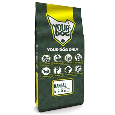 Yourdog Kangal volwassen