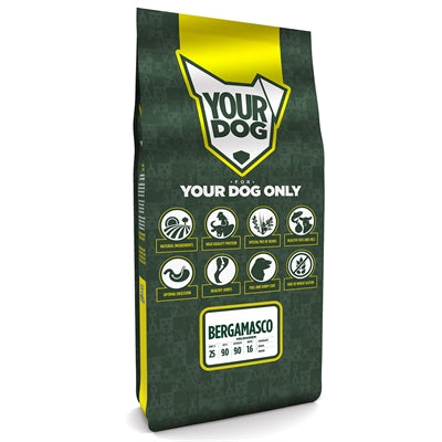 Yourdog Bergamasco volwassen