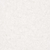 Noordwand behang vintage deluxe stucco crackle beige en wit