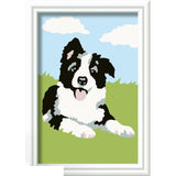 Ravensburger creart schilderen op nummer border collie