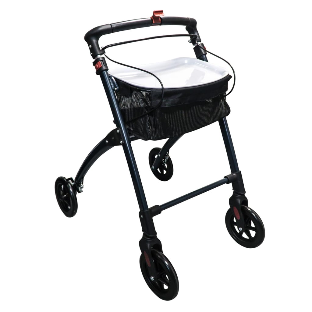 RIDDER RIDDER Rollator voor binnen Pit antracietkleurig