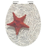 SCHÜTTE SCHÜTTE Toiletbril met soft-close RED STARFISH MDF hoogglans