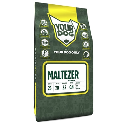 Yourdog Maltezer senior