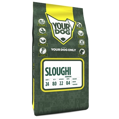 Yourdog Sloughi senior