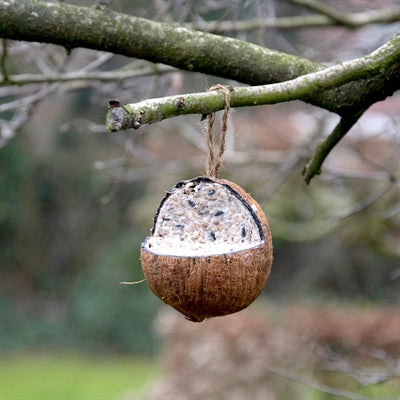 Best for birds Kokosnoot gevuld met vet