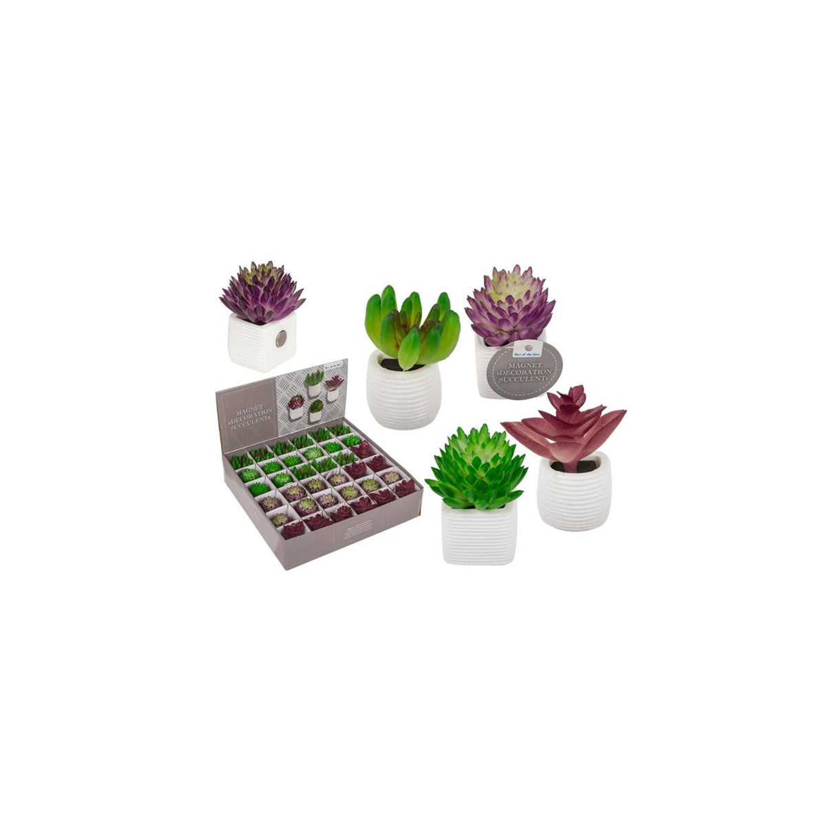 Ootb magneet vetplant in pot 3x5cm