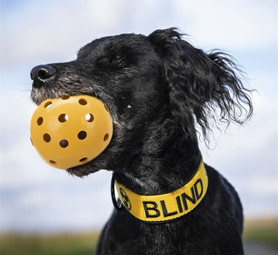 Trixie Gatenbal natuurrubber met bel voor blinde of gehandicapte hond