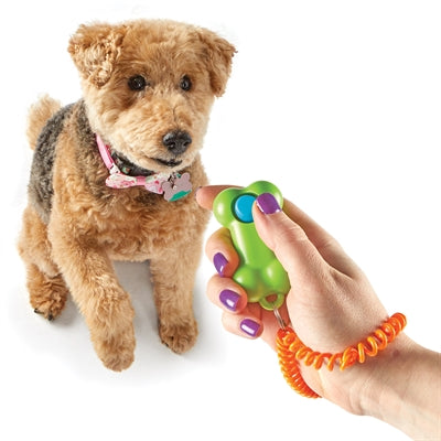 Brightkins Smarty pooch training clicker bone