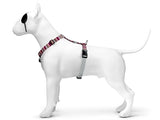 Morso hondentuig h-tuig gerecycled skyline rood roze