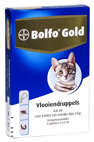 Bolfo Gold Kaz Flou fällt