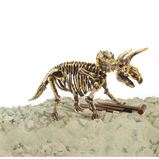 Dino base dinobase dino uitbikken triceratops 3d set | 3 stuks