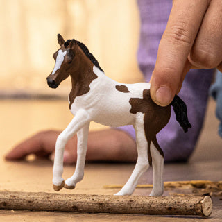 Schleich horse club - paint veulen - 14899