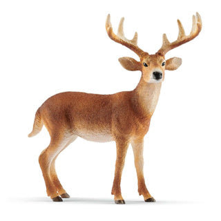 Schleich wild life - witstaarthert - speelfiguur - kinderspeelgoed voor jongens en meisjes - 3 tot 8 jaar - 14818