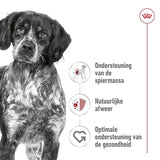 Royal canin canin medium adult