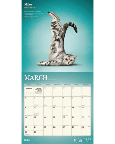 Kalender yoga cats 2025