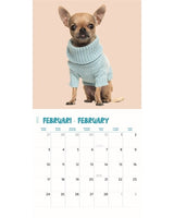 kalender chihuahua studio 2025