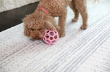 Jw hol-ee roller trend-ee roze