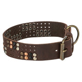 Trixie halsband hond rivet rustic vetleer donkerbruin