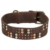 Trixie halsband hond rivet rustic vetleer donkerbruin