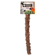 Back zoo nature pepper wood perch