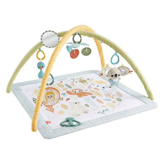 Fisher price simply senses babygym