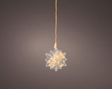Lumineo micro led ster met droogbloemen ø 19cm