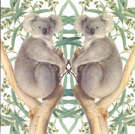 Kaart+envelop koalaberen. 16x16 cm