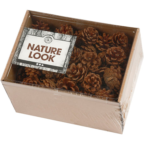 Creativ company https: www.cchobby.nl dennenappels-d-40-mm-ca-60-stuk-500-gr-1-doos