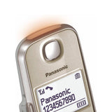 Panasonic kx-tge210nln dect telefoon grijs wit