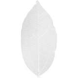 Https: www.cchobby.nl skeleton-leaves-l-6-8-cm-wit-20-stuk-1-doos