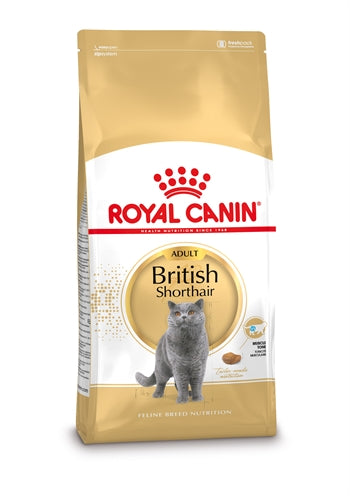 Royal Canin kann britesch Shorthair