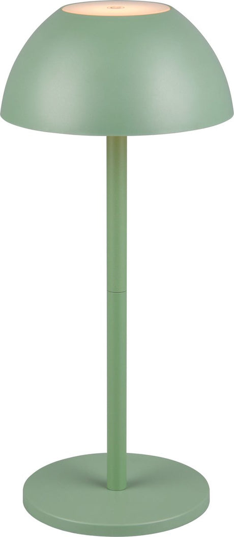 Rl live your light reality ricardo - tafellamp - pistache groen - incl. 1x smd 1,7 w - 4-stappen touch - usb-aansluiting - verlichting omhoog en omlaag - accuvoeding - buitenverlichting - ip54
