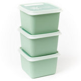 Amuse dbp alaska diepvriesdozen vierkant 0.75l 3 stuks mintgroen