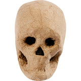 Https: www.cchobby.nl skelet-masker-h-10-cm-1-stuk