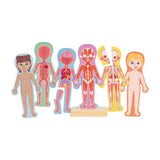 Hape menselijk lichaam magnetische puzzel - 63dlg.