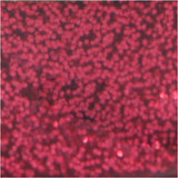 Creativ company glitterlijm donkerroze, 25ml