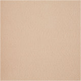 Creativ company https: www.cchobby.nl hobbyvilt-a4-vel-210x297-mm-dikte-1-5-2-mm-licht-beige-10-vel-1-doos