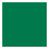 Creativ company tissuepapier groen 10 vellen 14 gr, 50x70cm