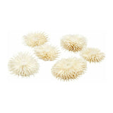 Creativ company https: www.cchobby.nl gedroogde-bloemen-d-3-5-cm-6-stuk-1-doos